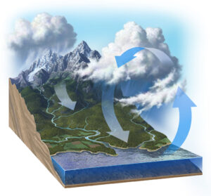 Illustration showing the Earth's water cycle starting with precipitation in the mountains, washing nutrients downstream, ending up in the seas and evaporating back up. This cycle leads to trace mineral deficiency in humans because minerals are constantly washing into the seas and not available in food through soil