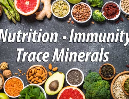 Minerals for Immune System
