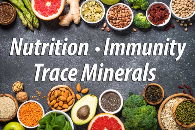 Minerals and immune function