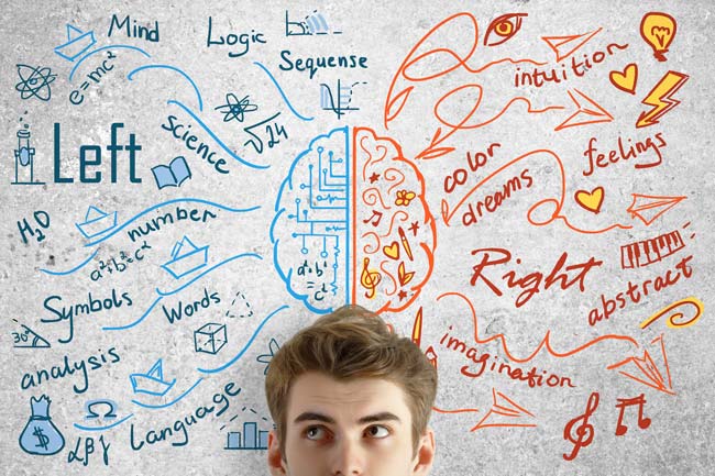 Micronutrients and brain function Micronutrients and brain function