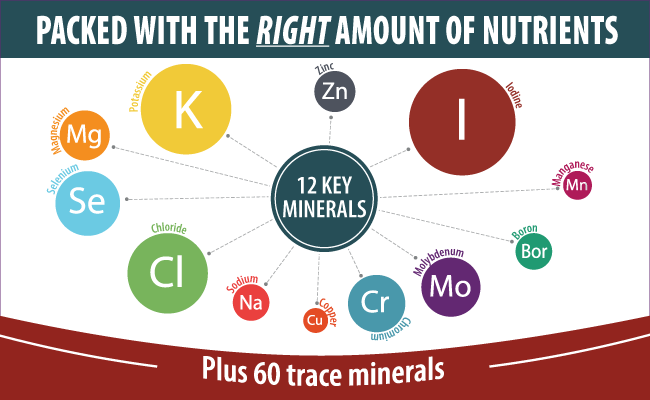 Twelve essential Trace Minerals